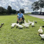 gaw feeding ducks 2025_min