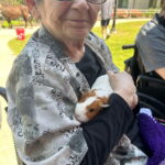 gaw petting zoo 2025_min